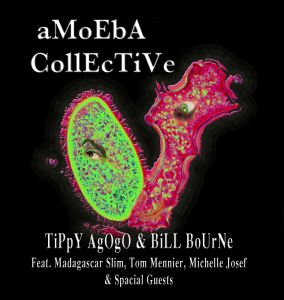 amoeba collective