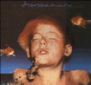 at the feet of the moon